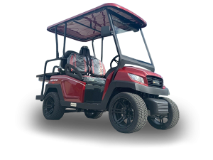 golf cart repair service, lahaina cart repair pickup